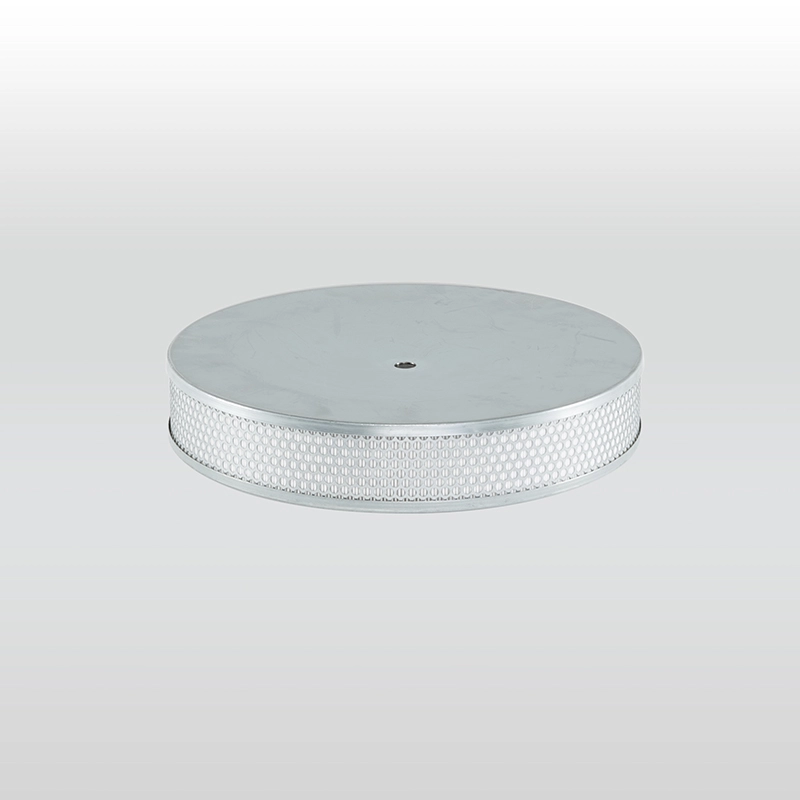 HEPA and ULPA filters - IFS srl