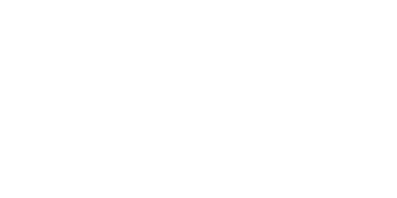 IFS srl